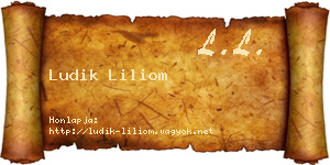 Ludik Liliom névjegykártya